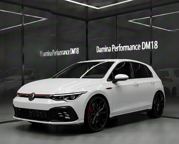 Damina DM18 customer vehicle